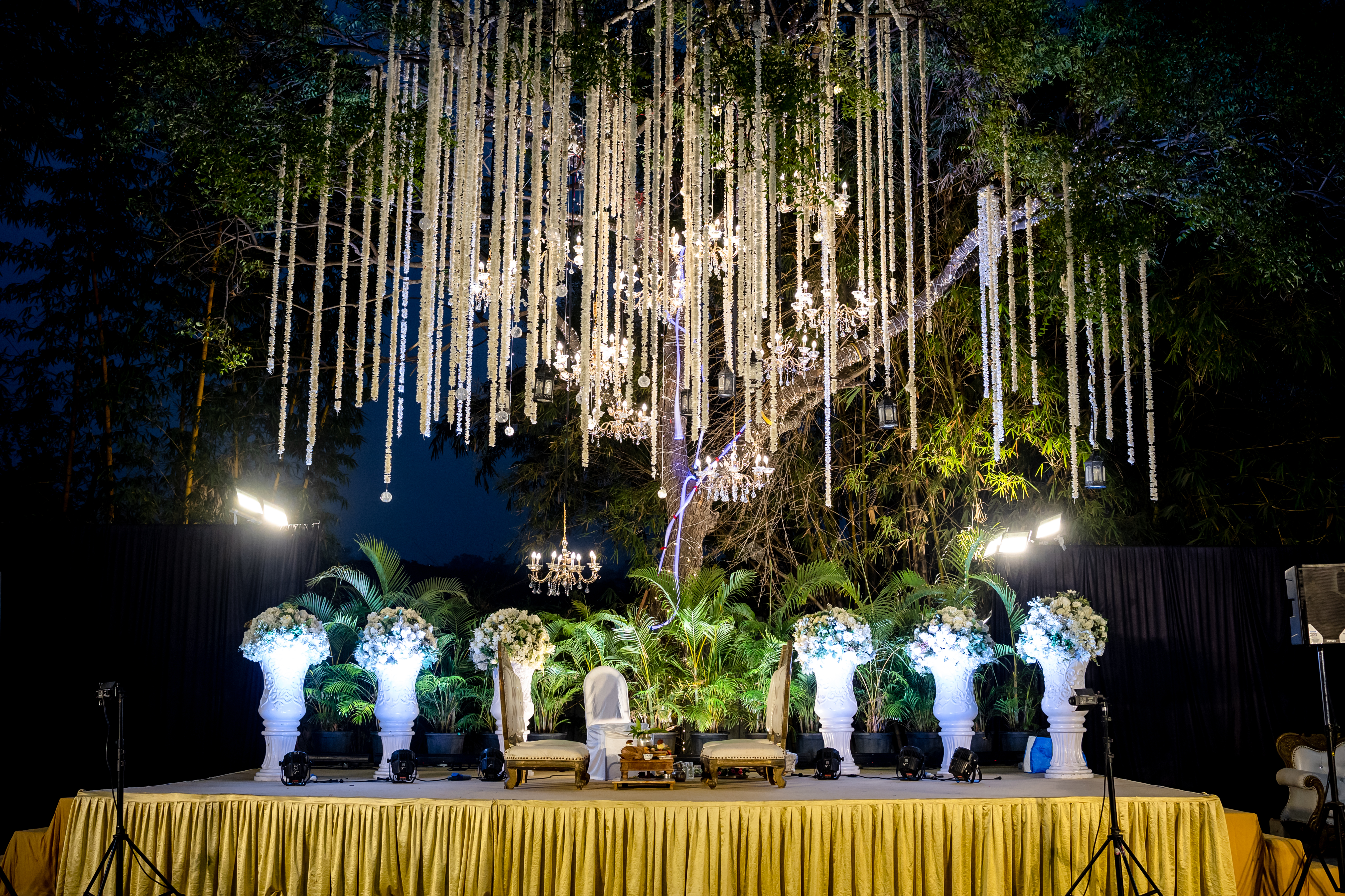 Weddings & Pre-Wedding